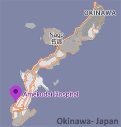 Dr. Takeyoshi Shimoji Okinawa Japan